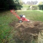 Stump Grinding Services D R Minns Tree Surgery